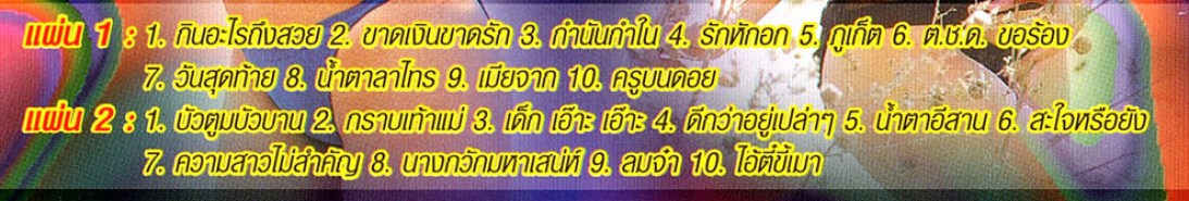 คาราโอเกะ - ถูกใจ ชุด28 [2cd] VCD1557-WEB2